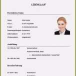 Ungewöhnlich Unterschriften Sammeln Vorlage Großartig Lebenslauf