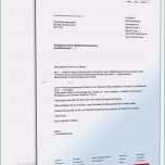 Ungewöhnlich Versicherung Kündigen Vorlage Neu Kündigung