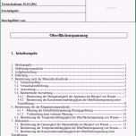 Ungewöhnlich Versuchsprotokoll Oberflächenspannung Pdf