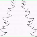Unglaublich 10 Best Malvorlage Tannenbaum Tannenbaum Vorlage Holz 599