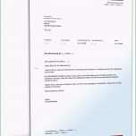 Unglaublich 10 Initiativbewerbung Muster Vorlage