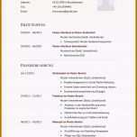 Unglaublich 10 Lebenslauf Vorlagen 2014