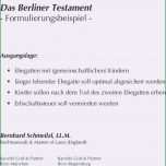 Unglaublich 11 Biografiearbeit Muster