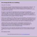 Unglaublich 12 Dm Bewerbung Vorlage
