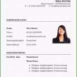 Unglaublich 12 Professioneller Lebenslauf Muster