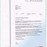 Unglaublich 12 Schriftliche Kündigung Vorlage