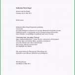 Unglaublich 13 Empfehlungsschreiben