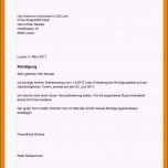 Unglaublich 13 Vorlage Kründigung Sportverein