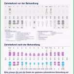 Unglaublich 14 Kostenplan Vorlage