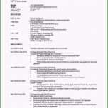 Unglaublich 14 Lebenslauf Englisch Cv
