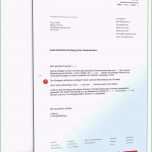 Unglaublich 14 Vorlage Kündigung Sportverein