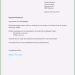 Unglaublich 15 Kündigung Verein Vorlage