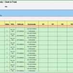 Unglaublich 15 Trainingsplan Pferd Vorlage