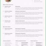 Unglaublich 16 Englisch Cv Vorlage