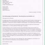 Unglaublich 17 Bewerbung Sicherheits Nst Muster