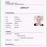 Unglaublich 17 Lebenslauf Vorlage Für Ausbildung