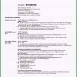 Unglaublich 18 Lebenslauf Ingenieur Vorlage