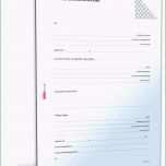 Unglaublich 19 Adressänderung Vorlage