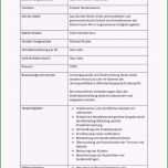 Unglaublich 20 Arbeitsplatzbeschreibung Muster Kostenlos