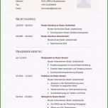 Unglaublich 20 Tabellarischer Lebenslauf Vorlage Pdf
