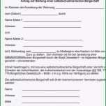 Unglaublich 27 Fabelhaft Bürgschaft Wohnung Vorlage Bilder