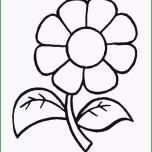 Unglaublich Ausmalbilder Blumen Malvorlagen 01