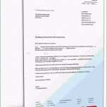 Unglaublich Autoversicherung Kündigen Vorlage – Various Vorlagen