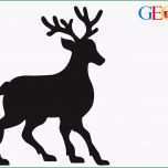 Unglaublich Bastelanleitung Rentier Kerze [geolino] Für Rentier