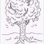 Unglaublich Baum Vorlage Zum Ausdrucken