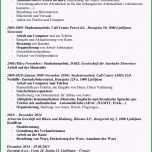 Unglaublich Cv Europass Lebenslauf Deutsch Tanja Koprivec25 7 2016pdf