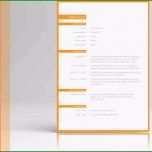 Unglaublich Deckblatt Bewerbung Mit Anschreiben &amp; Lebenslauf Zum Download