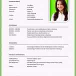Unglaublich Die Besten 25 Lebenslauf Muster Word Ideen Auf Pinterest