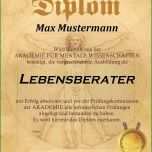 Unglaublich Diplom Muster