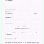 Unglaublich Einspruch Vollstreckungsbescheid Muster Zum Download