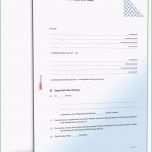 Unglaublich Einstellvertrag Pferd Rechtssicheres Muster Zum Download