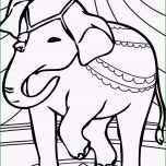 Unglaublich Elefant Planse De Colorat Si Educative