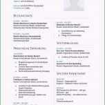 Unglaublich I Bewerbung Für Das Qualitätsmanagement Muster Lebenslauf