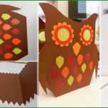 Unglaublich Kostenlose Diy Vorlage Laterne Eule Selber Basteln