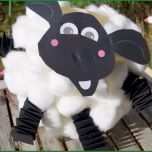 Unglaublich Laterne Basteln Aus Luftballon Shaun Das Schaf Mit