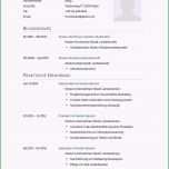 Unglaublich Lebenslauf Muster Für Arzt