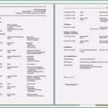 Unglaublich Lebenslauf Rückwärts Vorlage Hübsch 9 Lebenslauf