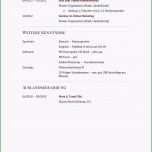 Unglaublich Lebenslauf Vorlage Manager Erstaunlich Lebenslauf Muster