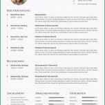 Unglaublich Lebenslauf Vorlage Openoffice Schönste Professioneller