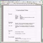 Unglaublich Lebenslauf Vorlagen Muster Und Beispiele