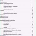 Unglaublich Machbarkeitsstu Vorlage Genial Neues Dienstausweis