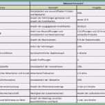 Unglaublich Maßnahmenplan Vorlage Pflege Hübsch Balanced Scorecard In