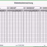 Unglaublich Maßnahmenplan Vorlage Pflege – Kostenlos Vorlagen