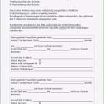 Unglaublich Pflichtenheft Vorlage Druckbare Projektplan Hausbau