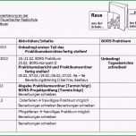 Unglaublich Praktikumsbericht Vorlage Schule 10 Klasse Inspiration 17