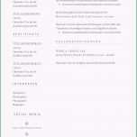 Unglaublich Premium Bewerbungsmuster 11